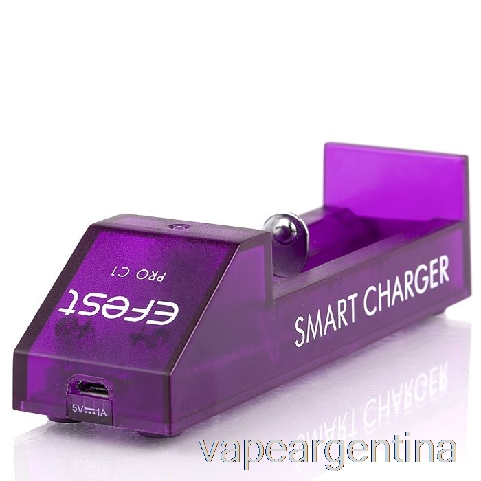 Cargador De Batería Inteligente Efest Pro C1 De 1 Bahía Vape Argentina