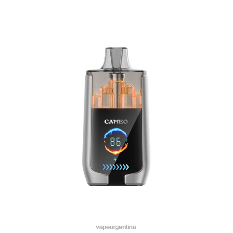 LAVIE CAMEO 30000 bocanadas hielo de arándanos 42PL415 - Vape Desechable Argentina