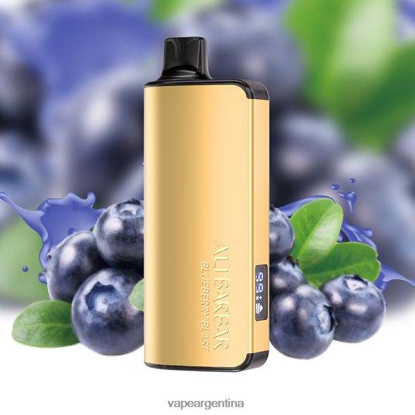 Vape Desechable Argentina P4420J15 Alibarbar Ingot 9000 vaporizadores desechables explosión de arándanos
